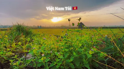 #CapCut Việt Nam Yêu Thương 🇻🇳 . #radiothugian #vietnam #capcutpioneer #pioneertemplate 