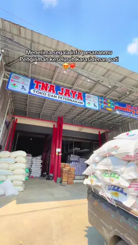 Ready semua kecuali kandang🕺 kandang masih bulan september readynya😋😋 #agennewhopepati #agenpokphandpati #tnajayapoultryshop #pati24jam #tnajayafarm 