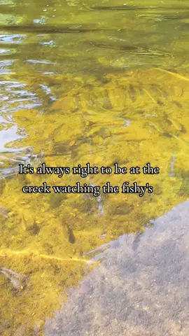 #♥️🙌♥️ #Missouricreeks #missourify #missouritiktok #fish 