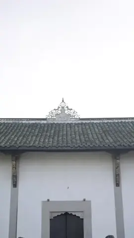 第1集：↑↑↑點擊視頻左下角觀看精彩後續#因為一個片段看了整部劇 #好劇推薦 