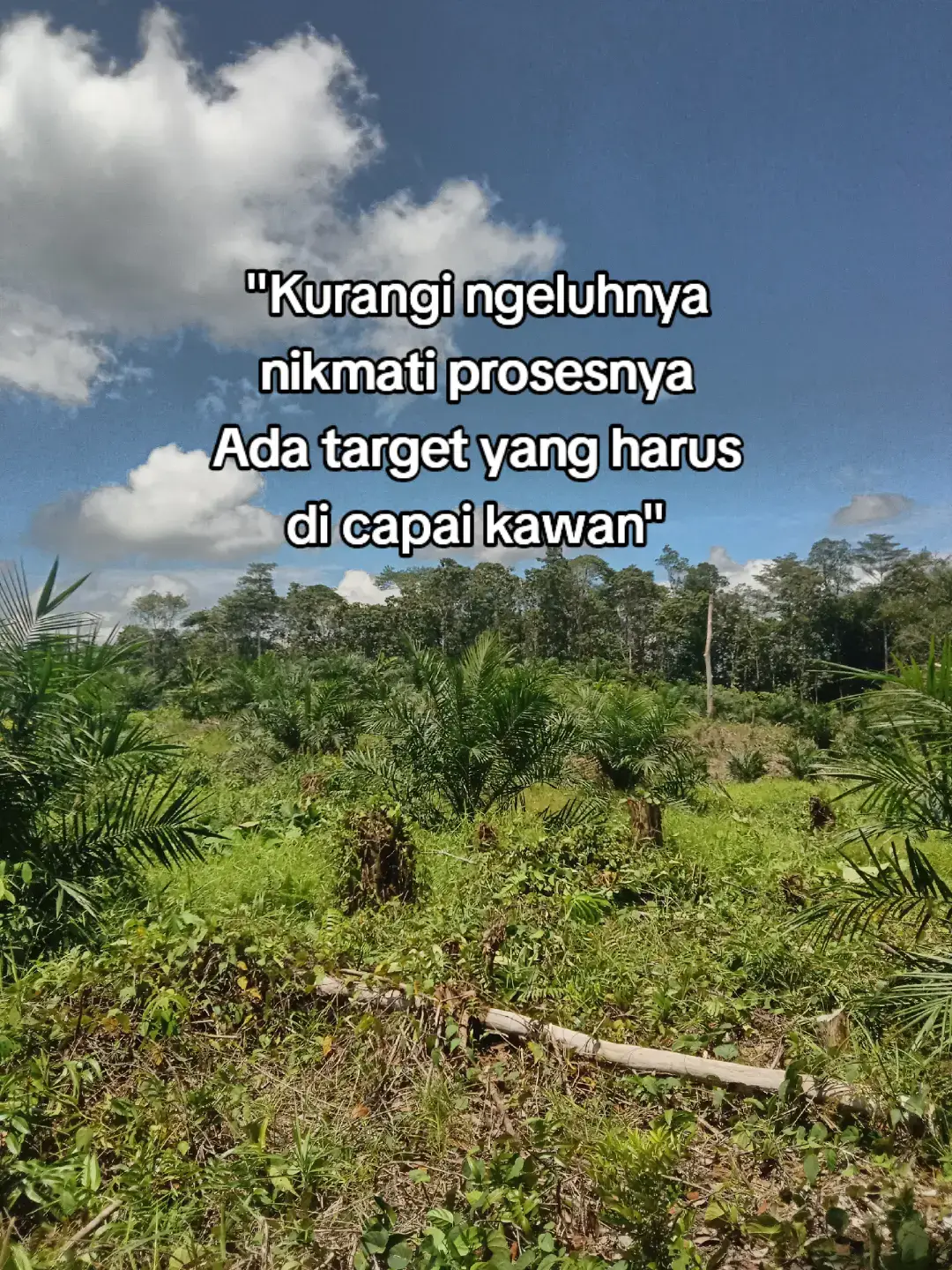 Petani sawit pasti tau rasanya saat mengurus sawit di pase TBM🥵#fypsawitkalimantan#lewatberandafyp 