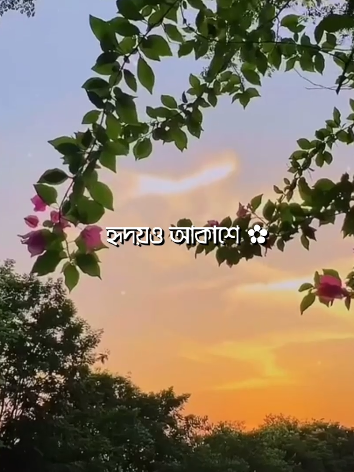 - কেনো মেঘ আসে 💗 - হৃদয়েও আকাশে ❤️‍🩹 #lyricsvideo #songlyrics #lyrics #lyrics_nayem_890 #foryou 