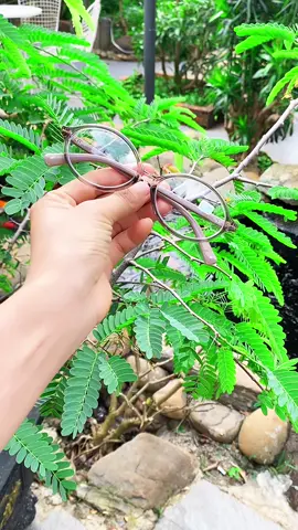 Kính cận kính trong kính chụp hình #kính #kinhthoitrang #fyp #xuhuong #danhthinhtran 