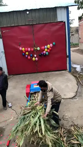 #chaffcutter#machine#chopper #cutter#crusher#foryou #tiktok#grass#agriculture#farmlife #plants#poultry#animal#feed