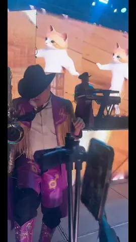 #tiktoklive #livehighlights 
