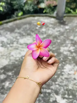 আমি তোমাকে অনেক আগেই মাফ করে দিছি এখন আল্লাহ মাফ করলেই হয় 😊❤️‍🩹