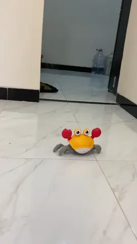 nih yg lagi dicari para bocil mainan kepiting pintar #mainananak #mainanbabymurah #mainankepiting #bayitiktok #tiktokshopindonesia 