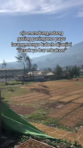 bismillah🤲🏻#fypage #tembakautemanggung #temanggungbersenyum 