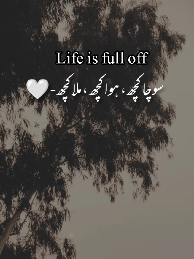 🌚💔#fypp #growmyaccount #poetry #aestheticvideos #viralvideos 