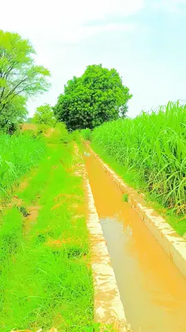 #pind #jutt #pindawale 