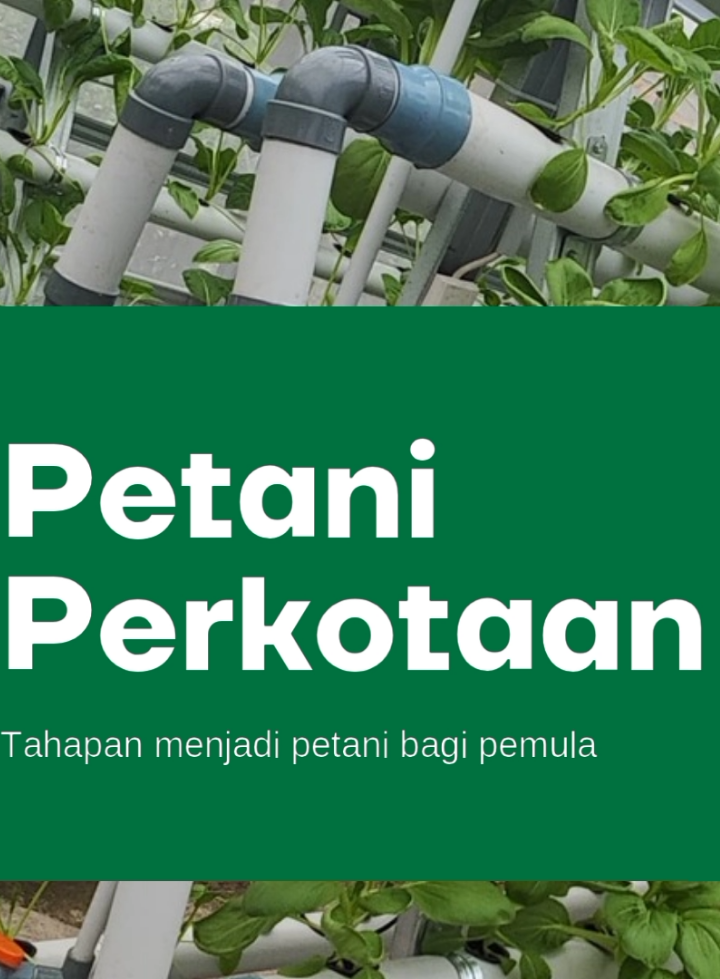 Buat kalian yang mau bertani dan bercocok tanam bisa banget mulai dari halaman rumah kalian, ini sedikit ilmu yang kami share ke kalian. silakan mencoba 🤗 #hidroponik  #petani  #genz  #hidupsehat  #sayuran 