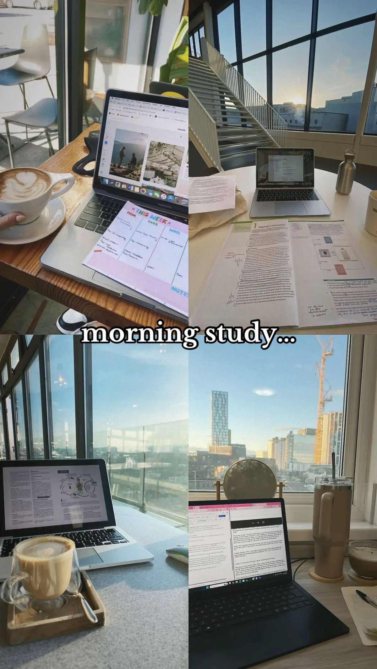 MMMM WHEN THE NIGHT CAAAAAAAALL #studytok #motivation #studywithme #studytokaesthetic #studymotivation 