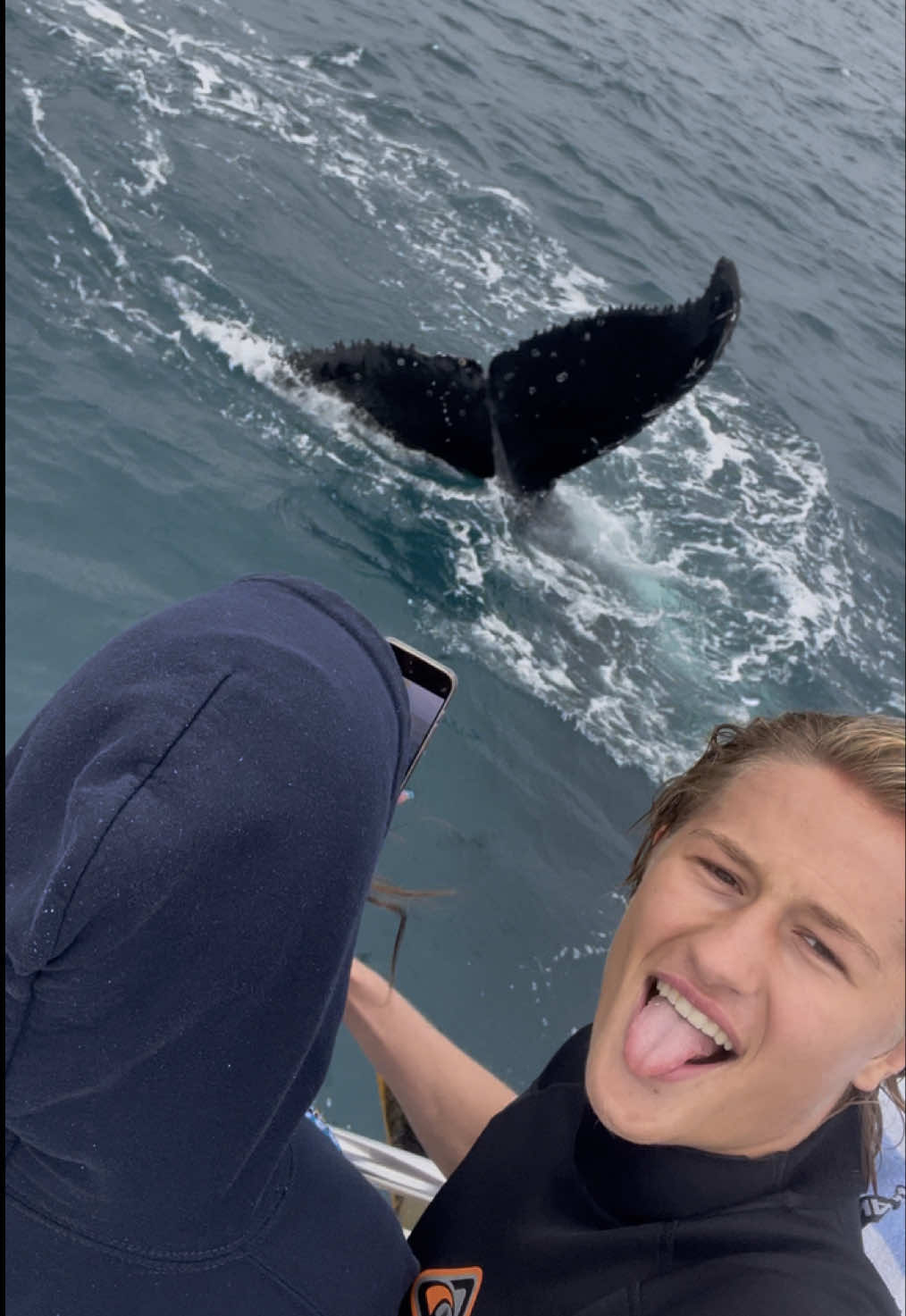 Ich bin Austauschschüler in Australien und das ist ein Tag in meinem Leben🇦🇺 Heute waren wir auf einer Whale Watching Tour das war wirklich so ein krasses Erlebnis, hätte nie gedacht dass ich mal so große Wale aus so einer Nähe anschauen und sogar mit Ihnen schwimmen kann🐋 #auslandsjahr #australien #dayinthelife #dayinthelifevlog #morningroutine 