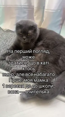 #прикол 