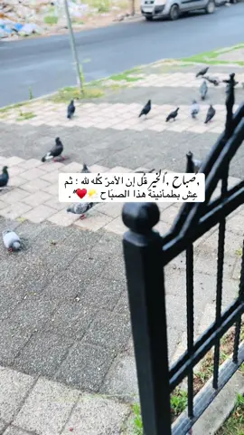 #صباح الخير🌼