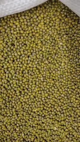 • Kacang Hijau Kecambah • Kacang Hijau Bubur Kilap kualitas super  Import dari 