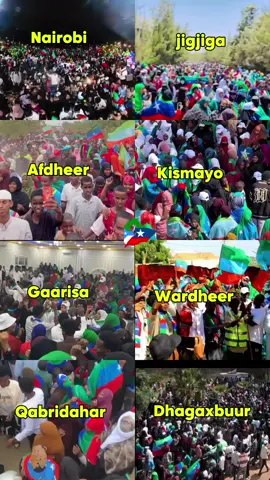 The Ogadenia community people🇬🇲🫶#mohanoww🇬🇶🤴#ogadenigirl🇬🇲#foryoupage#fypシ゚viral#somalitiktok🇸🇴 