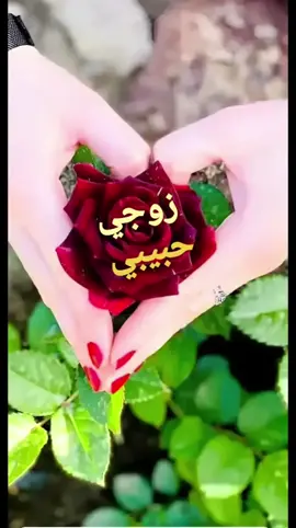 🫂🫂🫂🫀🫀🤲🤲🌺🌺🌺🌹🌹🌹🌹🫶🫶🫶🫶🫶🫶