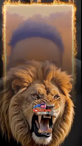 #CapCut 