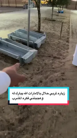 #اغنام #اغنام_السعوديه #غنم #حري #اكسبلور 