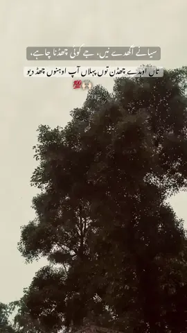 قیمتی گل اے🤷🏻🙌🏻#creatorsearchinsights #poetry #lines #unfreezmyaccount #viralstatus🖤🔥 @OLD VIBE OF PUNJAB ❤️‍🩹 