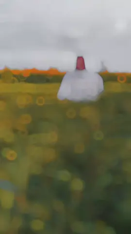 I do no the meaning but thanks for Nice video and editing 🥰❤️🌹