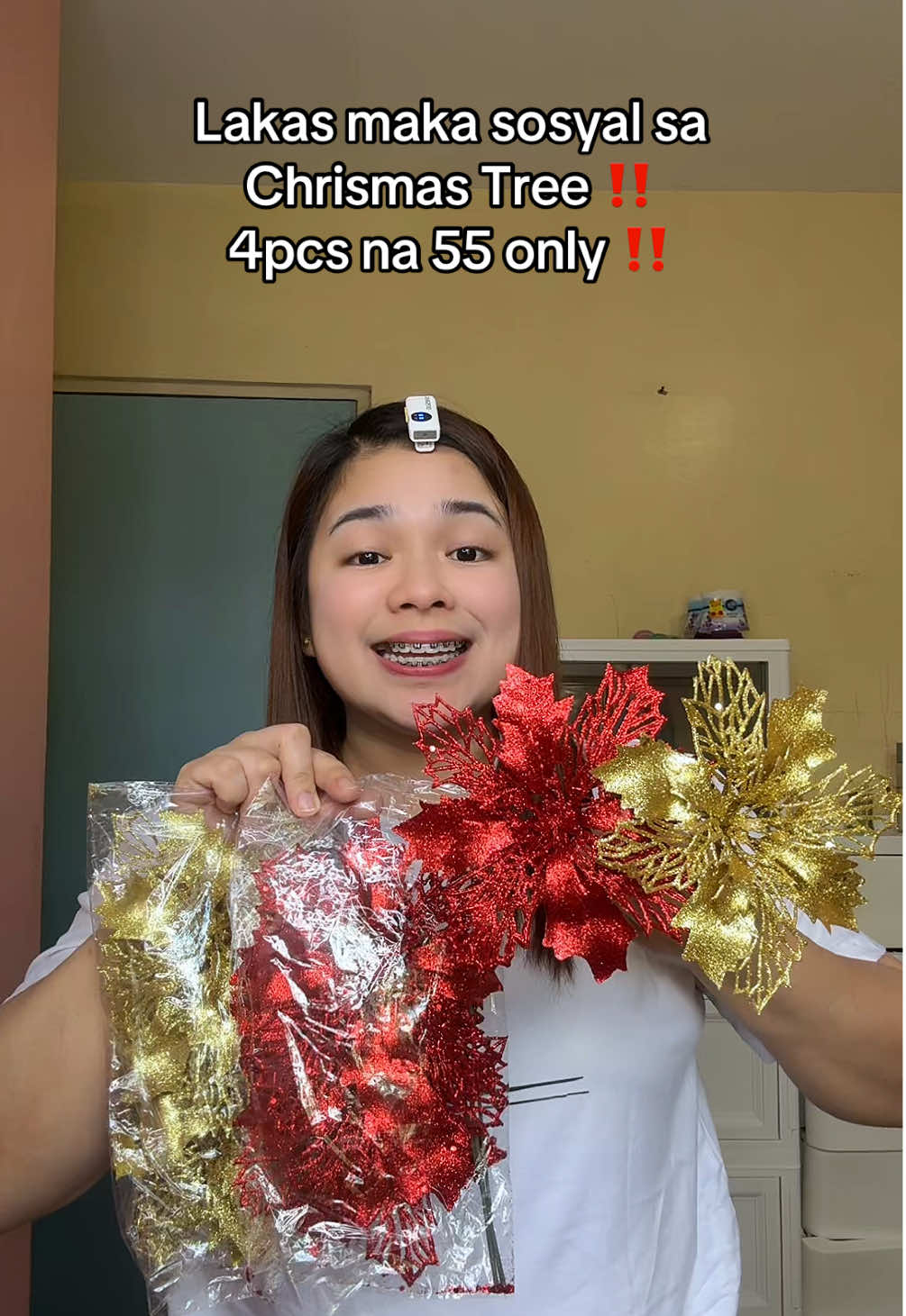 Abg Ganda lakas maka sosyal sa christmas tree tapos ang mura pa.#christmasdecor #christmasflowers #christmasdecorations 