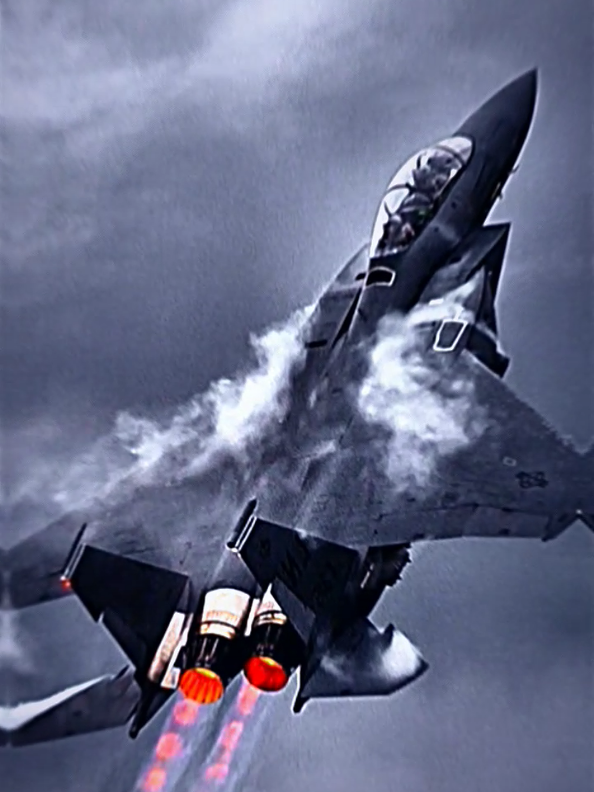 F-15E Strike Eagle buatan McDonnell Douglas (kini menyatu dengan Boeing) adalah pesawat tempur multiperan segala cuaca Amerika