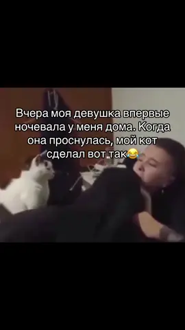 #fyp #real #meme #foryou #рекомендации 
