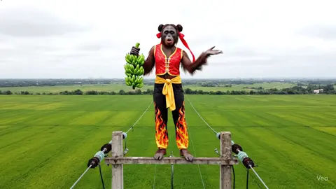 Anh sơn đâu rep  chuỗi e với #xuhuong  #laycaykimmaido  #monkey  #nhacnaychillphet 