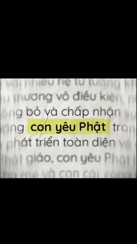 còn yêu Phật🪷🙏 #phat #phatgiao  #phatphapnhiemmau 