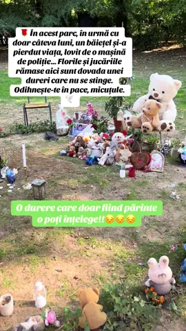 🌹 În acest parc, în urmă cu doar câteva luni, un băiețel și-a pierdut viața, lovit de o mașină de poliție… Florile și jucăriile rămase aici sunt dovada unei dureri care nu se stinge. Odihnește-te în pace, micuțule.🕊️Ma trec mereu fiorii cand trec pe aici, o durere care nu trece niciodată. Acest loc a rămas marcat pentru totdeauna!🥺🥺🥺☹️#fabian #deces #parc #durerea_nu_trece💔💔🥺😖😭🤧 #inger 