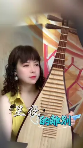 #星夜的離別 #經典老歌 #pipa #instrumental #tiktokmusic 