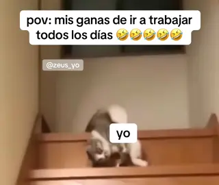 #parati #fyp #meme #memecut #viraltiktok 