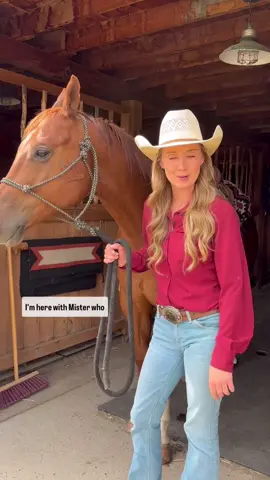 I am a star of Heartland, a true Wild Rose Equestrian  beautiful, strong - and knows horses. It was a thrill to interview and have a photo shoot with on the set of Heartland Ranch. also watched me shoot a scene for Series 19, airing this fall! Heartland has been streamed more times than the Simpsons and Friends in the USA, and is broadcast in over 100 countries. Stay tuned for Amber's feature in 