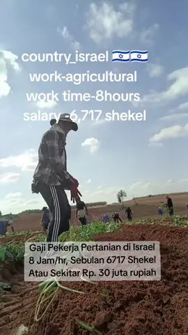 Gaji Pekerja Pertanian di Israel 8 Jam/hr, Sebulan 6717 Shekel Atau Sekitar Rp. 30 juta rupiah