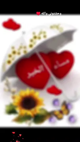 احلى مسا عليكم 😘🩵#حب #سندباد الصعيد 🐿️