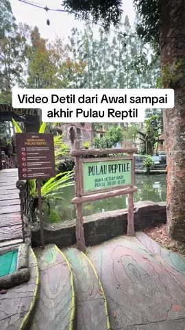 Bagian 258 | Pulau Reptil dari Awal sampai Akhir #reptil #edukasi #pengetahuan #alamliar 