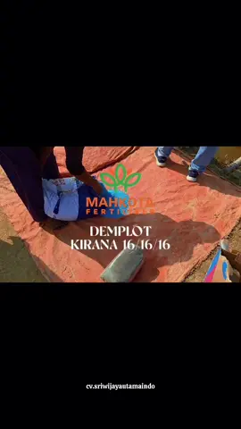 demplot kirana 16.16.16  #sriwijayautamaindo #distributorpupukpalembang #pupukterbaik #pupukorganik #pupukberkualitas 