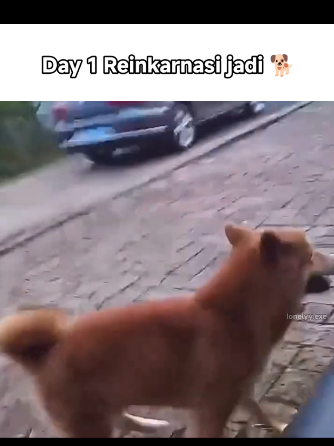 Coba cek video yang di sematkan🗿👍🏻 #meme #fyp #lonelyyexe #fypシ゚ #memestiktok #memecut #viral #lucu #ngakak #komedi #hiburan #reels #fypp #memes 
