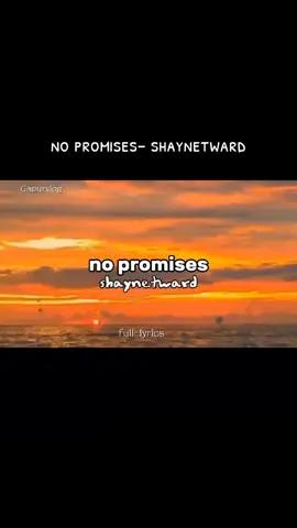 #no promises -shaynetward #tiktok viral #music 2025