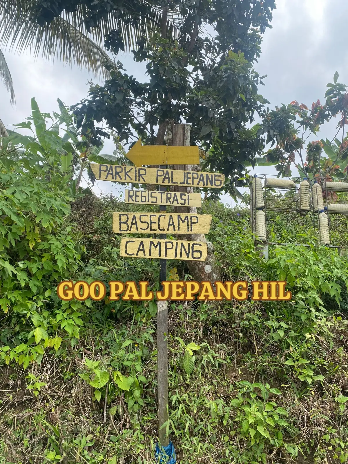 17 agustus kemana?#17agustus #upacaradigunung #paljepanghill2300mdpl #lautanawan 