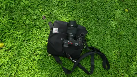 Chỉ cần cho thẻ nhớ vào Sony a6700 tôi có thể chụp những tấm ảnh tuyệt sắc. #sony #sonya6700 #sandisk #thenho #anh #tamanh #xh #xuhuong #viral #viralvideo #trntrgsinh 