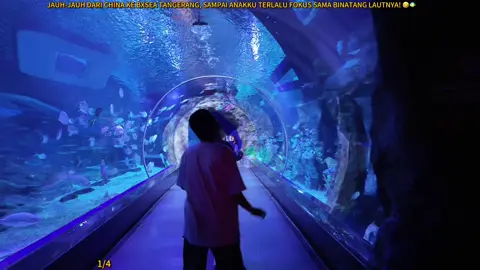 JAUH-JAUH DARI CHINA KE BXSEA TANGERANG, SAMPAI ANAKKU TERLALU FOKUS SAMA BINATANG LAUTNYA! 🤣🐠#shantydichina #shantyditiktok #china #jakarta #indonesia 
