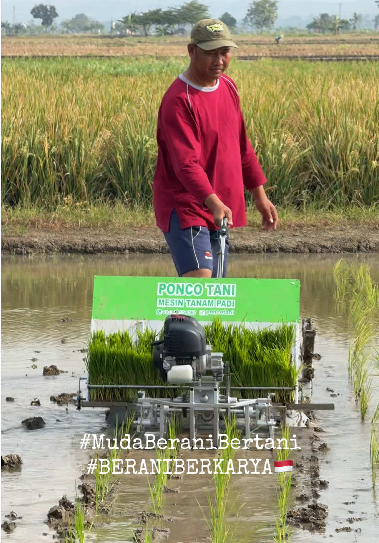 Muda Berani Bertani dan Berani Berkarya #poncotani #mesintanam🌾  #mudaberanibertani  #beraniberkarya  #petaniindonesia🇮🇩🇮🇩🇮🇩🌿🌿 