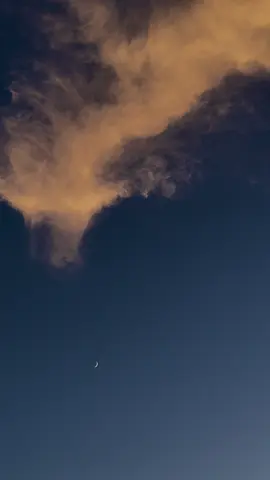 空の底に雲が降り注いでいた。