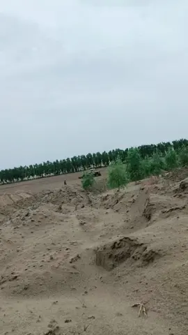 #تھل 