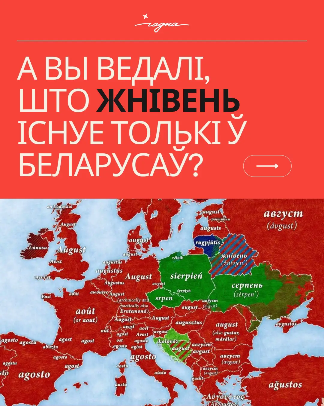 Мы з дзяцінства ведаем, што восьмы месяц года – гэта жнівень. І ў нейкі момант прыходзіць здзіўленне ад асэнсавання таго, што ў іншых славянскіх мовах часцей за ўсё гэта серпень. А жнівень існуе толькі ў беларусаў! Гартайце карткі і даведаецеся, як і калі ўзніклі сучасныя назвы ў нашым календары!  #беларусь #беларускаягісторыя #беларускаямова #беларускіцікток 
