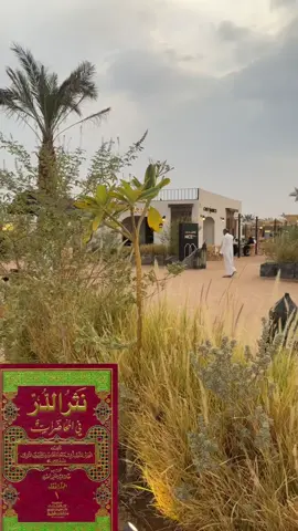 ‏المصافحة عند السلام ثم ضرب الخد بالخد كان من ديدن العرب قديما ، يقول ابن أبي أمية : ‏فلما بدا وجه الوداع تصافحت .. أكُفٌّ وثنّت بعدها بخدود ! ‏نثر الدّر في المحاضرات #مسجد_قباء #جادة_قباء #المدينة_المنوره #الغربية #العرب #عاداتنا_و_تقاليدنا  