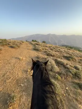 Dozdara te me☀️⛰️#xerzan #muş #welat #keşfetteyizzz #kesşef 